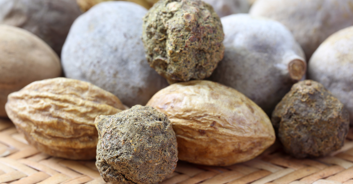 Triphala is populair aan het worden in paardenland en dat snappen we helemaal! Het is namelijk een fantastisch kruid met een grote geneeskrachtige werking. Zo kan je triphala inzetten bij maagzweren, bij suikergevoelige paarden maar ook bij stress, oogproblemen en andere spijsverteringsproblemen. Maar wist je dat bij de productie van triphala het regelmatig mis gaat? En dat je daarom kritisch dient te zijn op wat je koopt?
